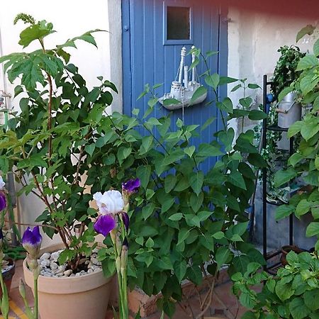 Bed and Breakfast La Maison De St Victor Saint-Victor-de-Malcap Exterior foto