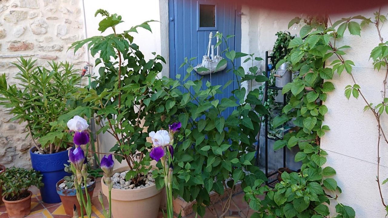 Bed and Breakfast La Maison De St Victor Saint-Victor-de-Malcap Exterior foto